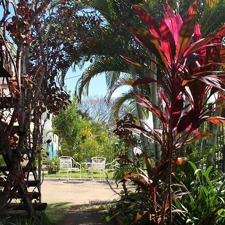 بيت شباب Asylum Cairns Share House المظهر الخارجي الصورة